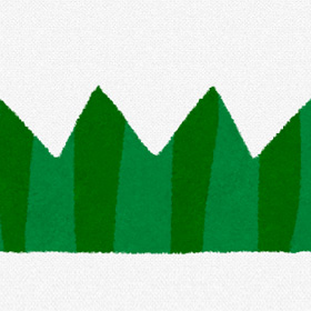 高知県鳥のフンや草抜きの清掃業務